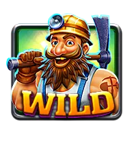 Gold Rush WILD symbol