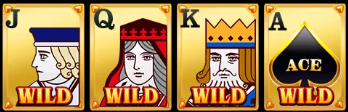 Wild Ace Jili Gondel Card